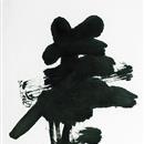 images/galeries/21/vignettes/sdKC16  .jpg